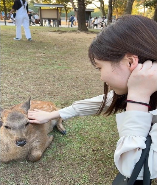 N・K